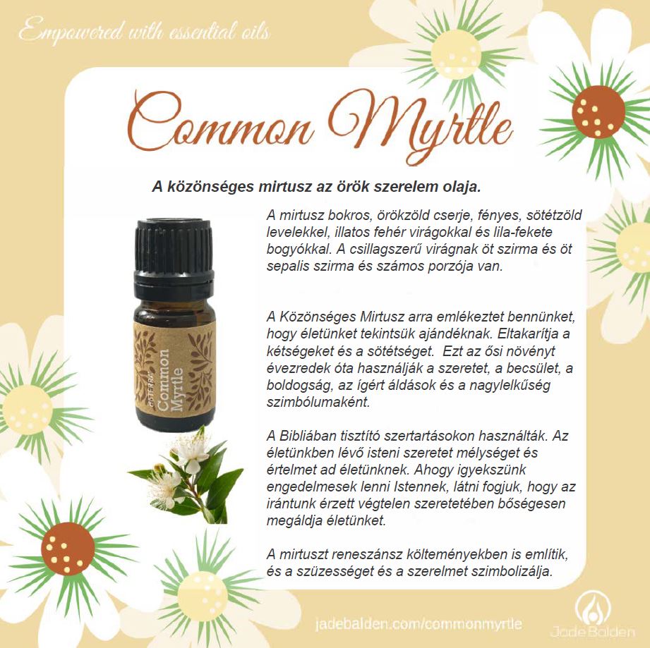 Common Myrtle1